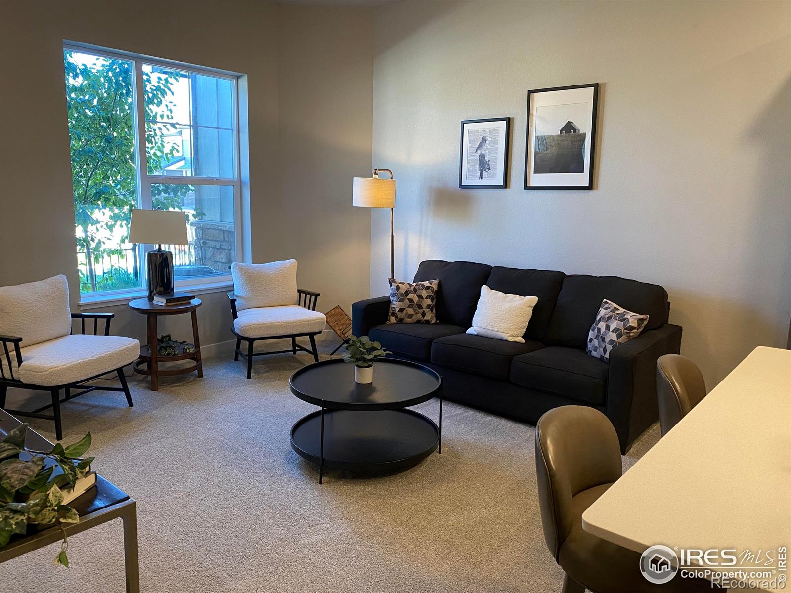 MLS Image #6 for 4110 s park drive,loveland, Colorado