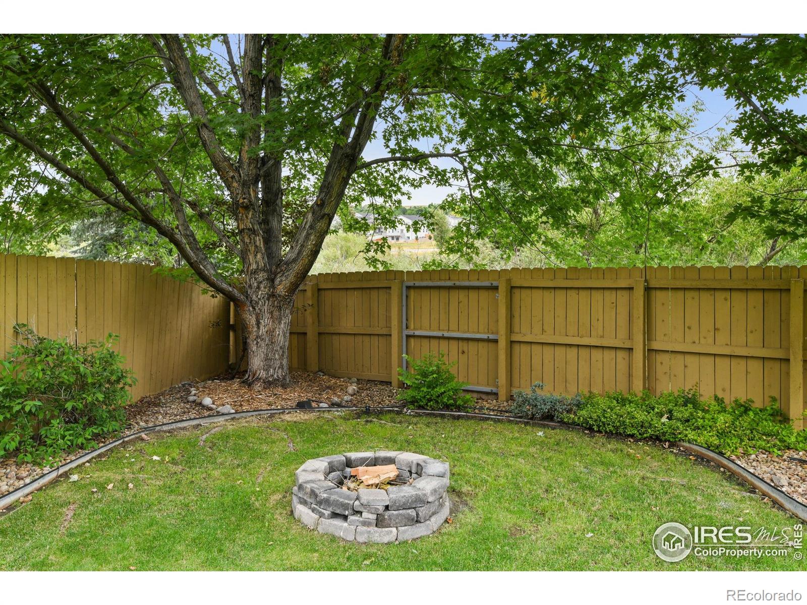 MLS Image #25 for 729  topaz street,superior, Colorado