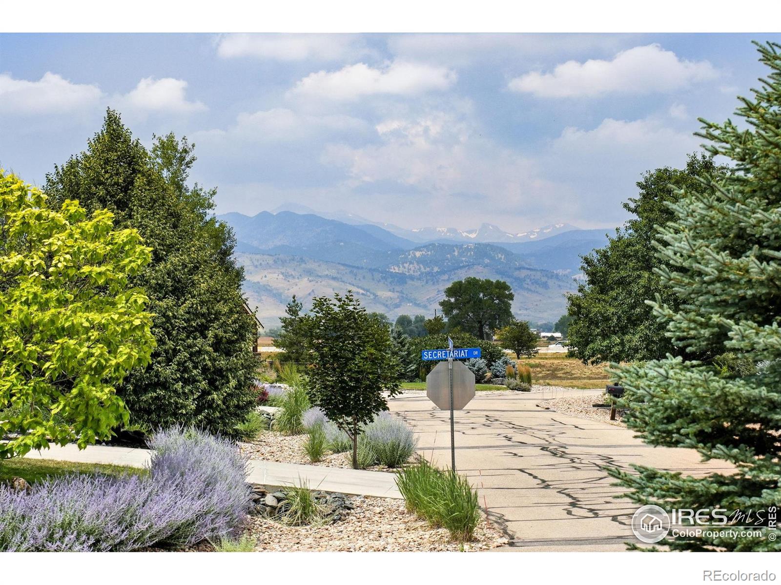 MLS Image #38 for 6636  secretariat drive,longmont, Colorado