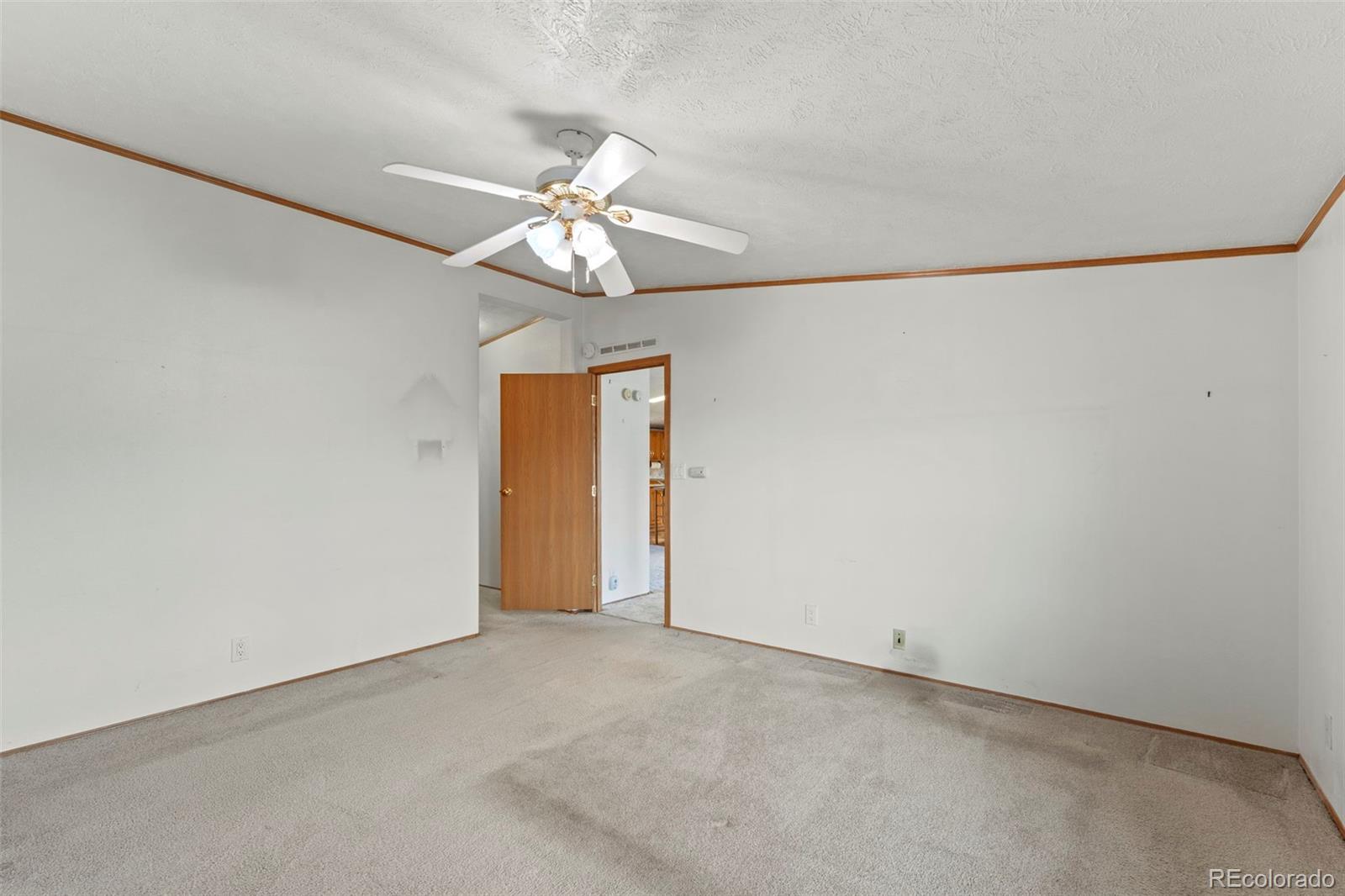 MLS Image #16 for 763  15th trail,cotopaxi, Colorado