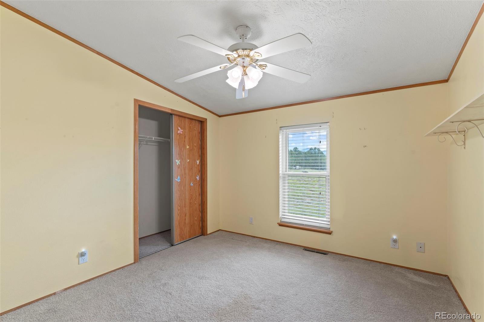 MLS Image #20 for 763  15th trail,cotopaxi, Colorado