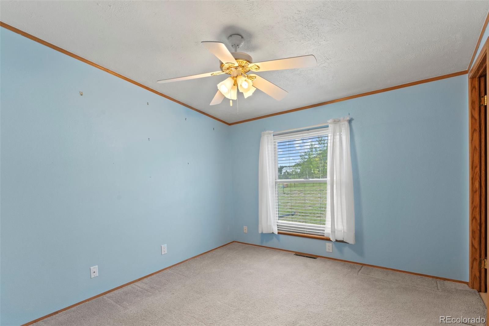 MLS Image #23 for 763  15th trail,cotopaxi, Colorado