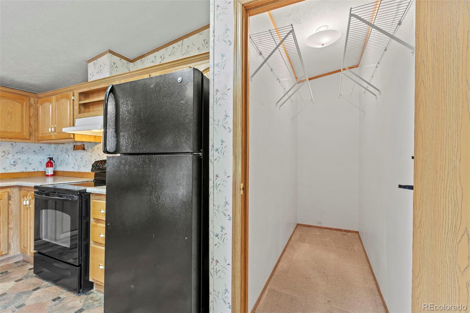 MLS Image #9 for 763  15th trail,cotopaxi, Colorado
