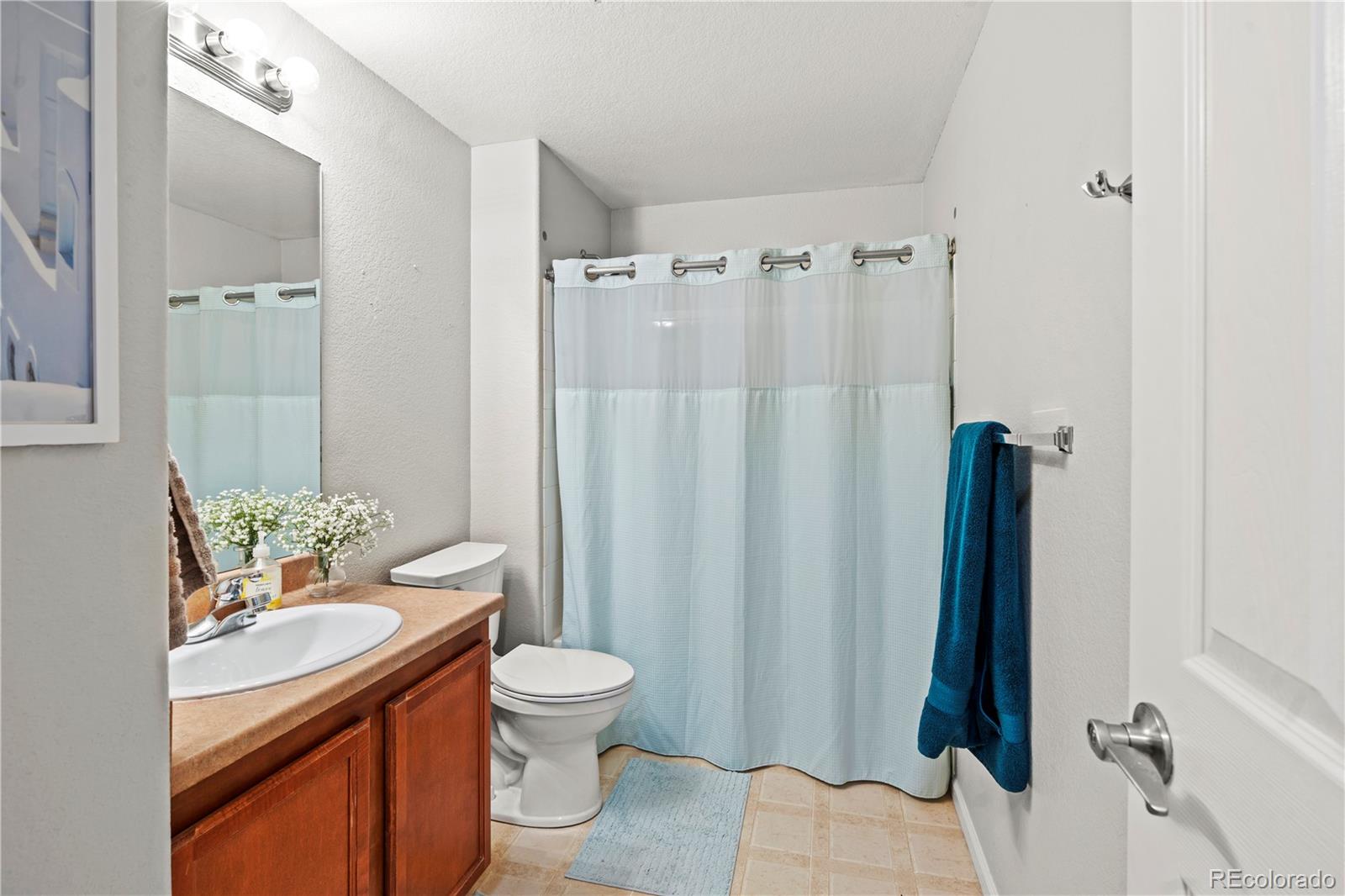 MLS Image #14 for 10787  twenty mile road,parker, Colorado
