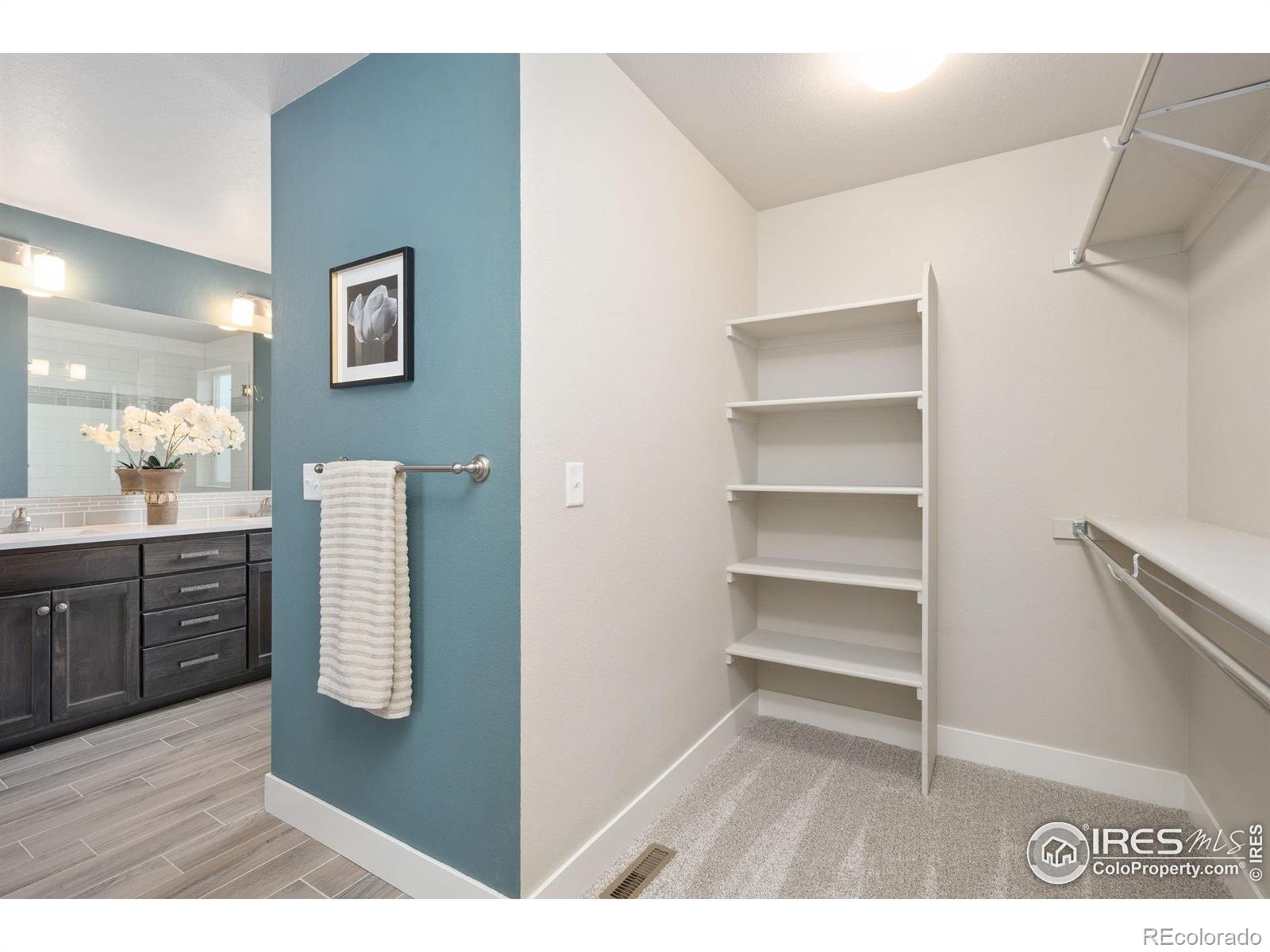 MLS Image #27 for 2962  sykes drive,fort collins, Colorado