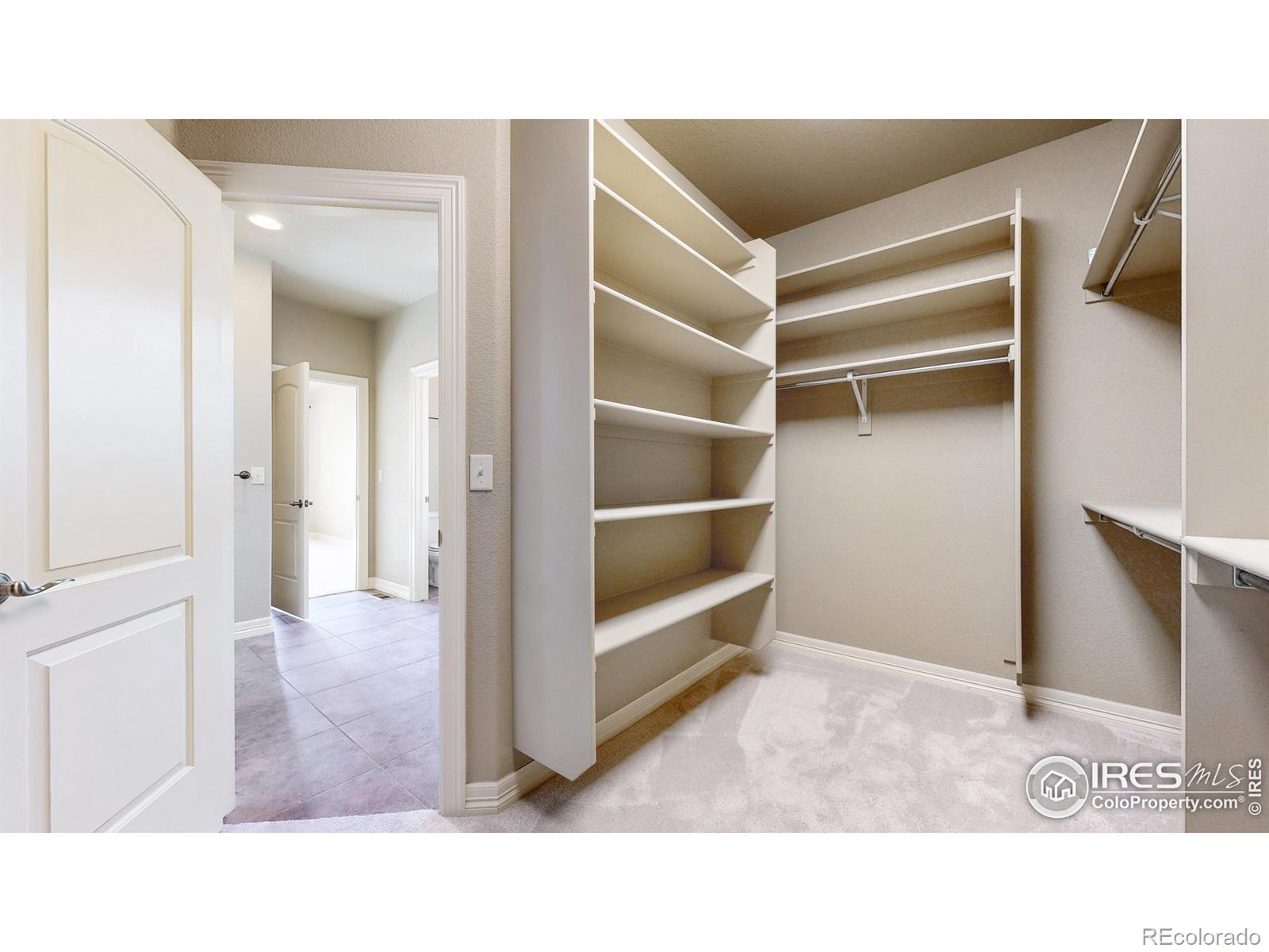 MLS Image #12 for 6780  crooked stick drive,windsor, Colorado