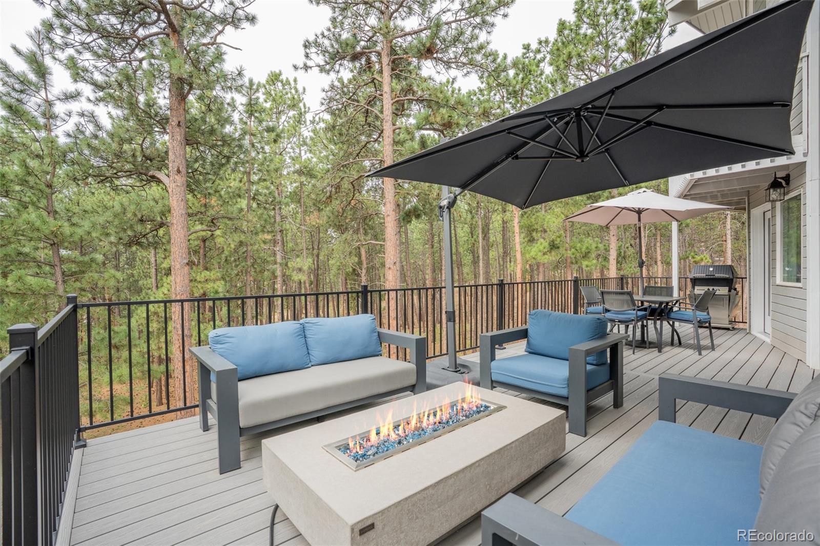 MLS Image #16 for 615  cimarron road,monument, Colorado