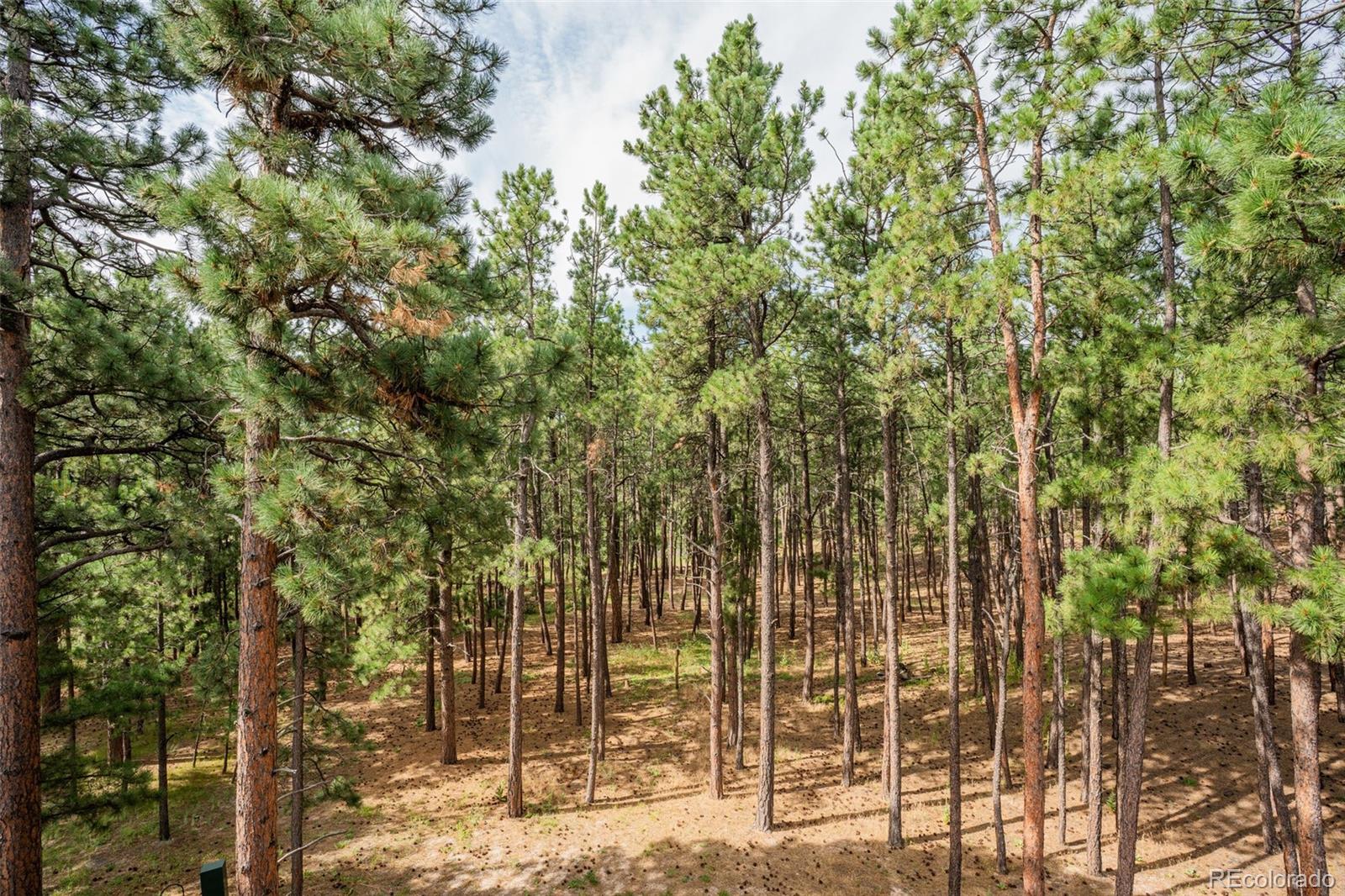 MLS Image #43 for 615  cimarron road,monument, Colorado