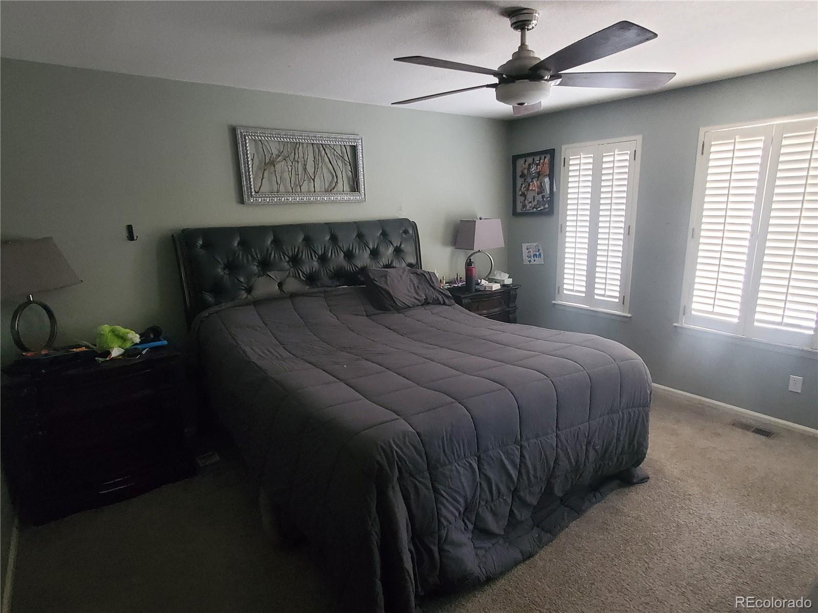 MLS Image #9 for 9618  townsville circle,highlands ranch, Colorado