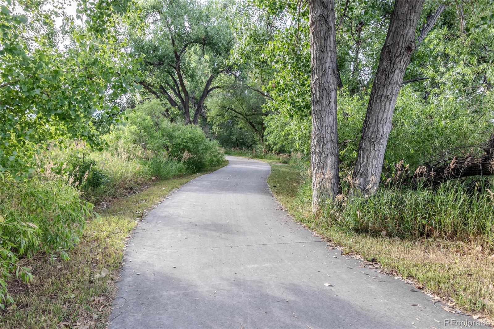 MLS Image #40 for 8720  starwood lane,parker, Colorado