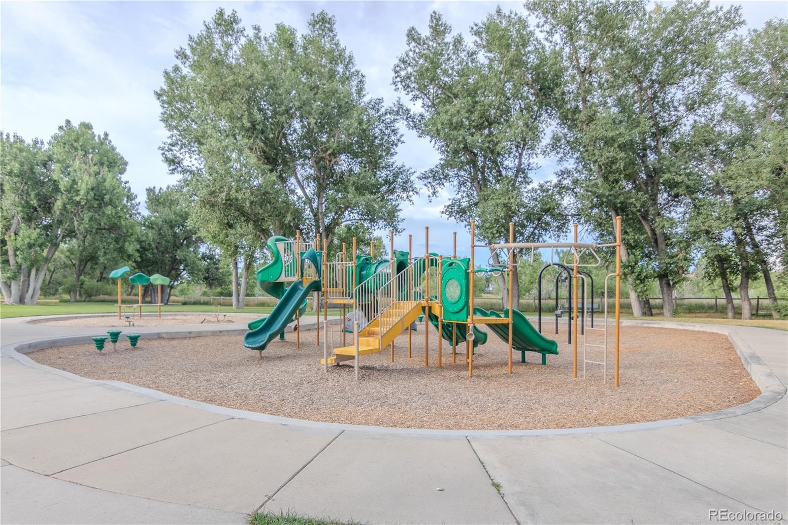 MLS Image #42 for 8720  starwood lane,parker, Colorado