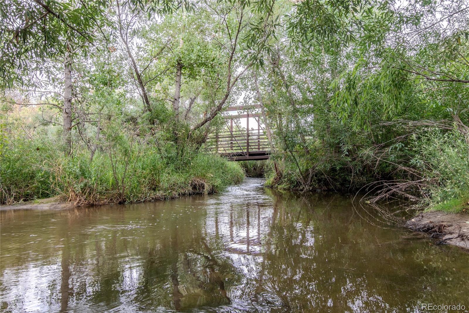 MLS Image #45 for 8720  starwood lane,parker, Colorado