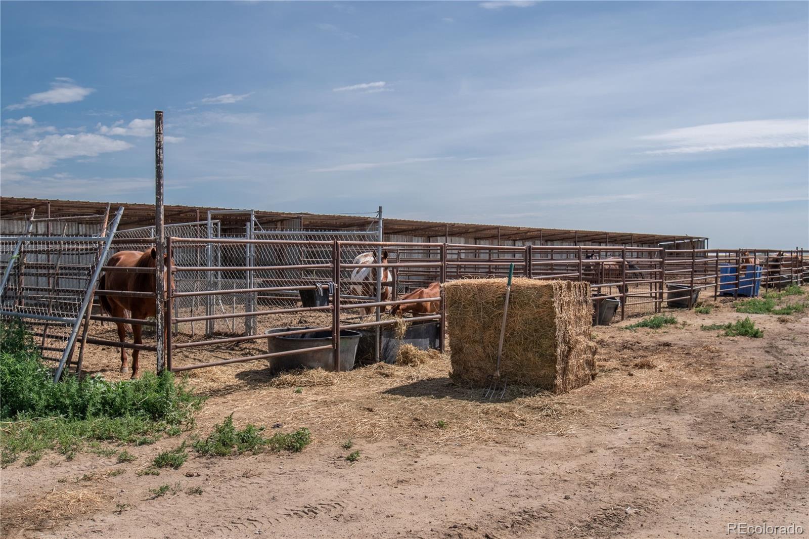 MLS Image #31 for 41  county road ,fort lupton, Colorado
