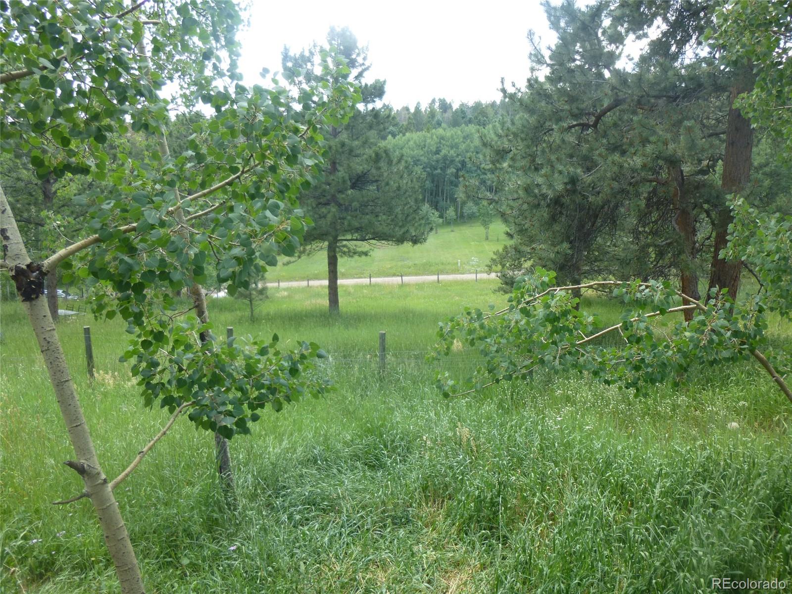 MLS Image #6 for 28688  aspen drive,conifer, Colorado