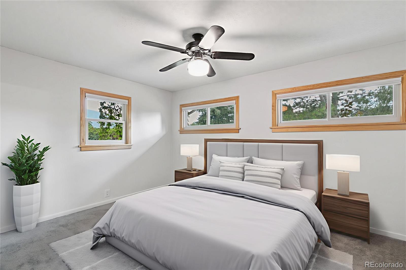 MLS Image #22 for 2835 n chelton road,colorado springs, Colorado