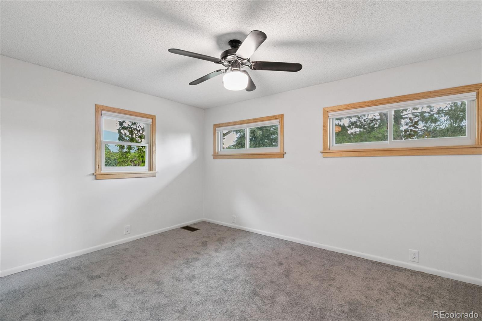 MLS Image #43 for 2835 n chelton road,colorado springs, Colorado