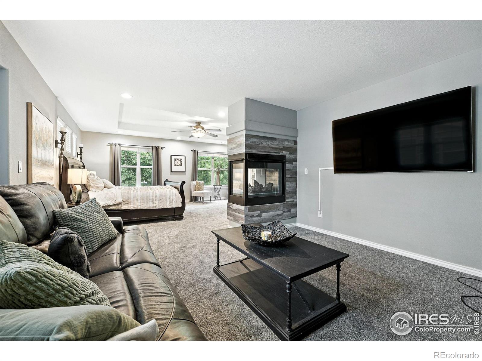 MLS Image #21 for 915  zodo avenue,erie, Colorado