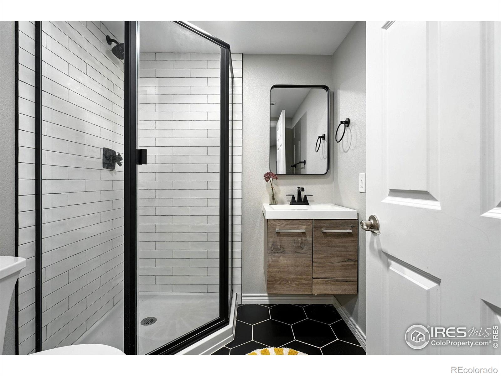 MLS Image #35 for 915  zodo avenue,erie, Colorado