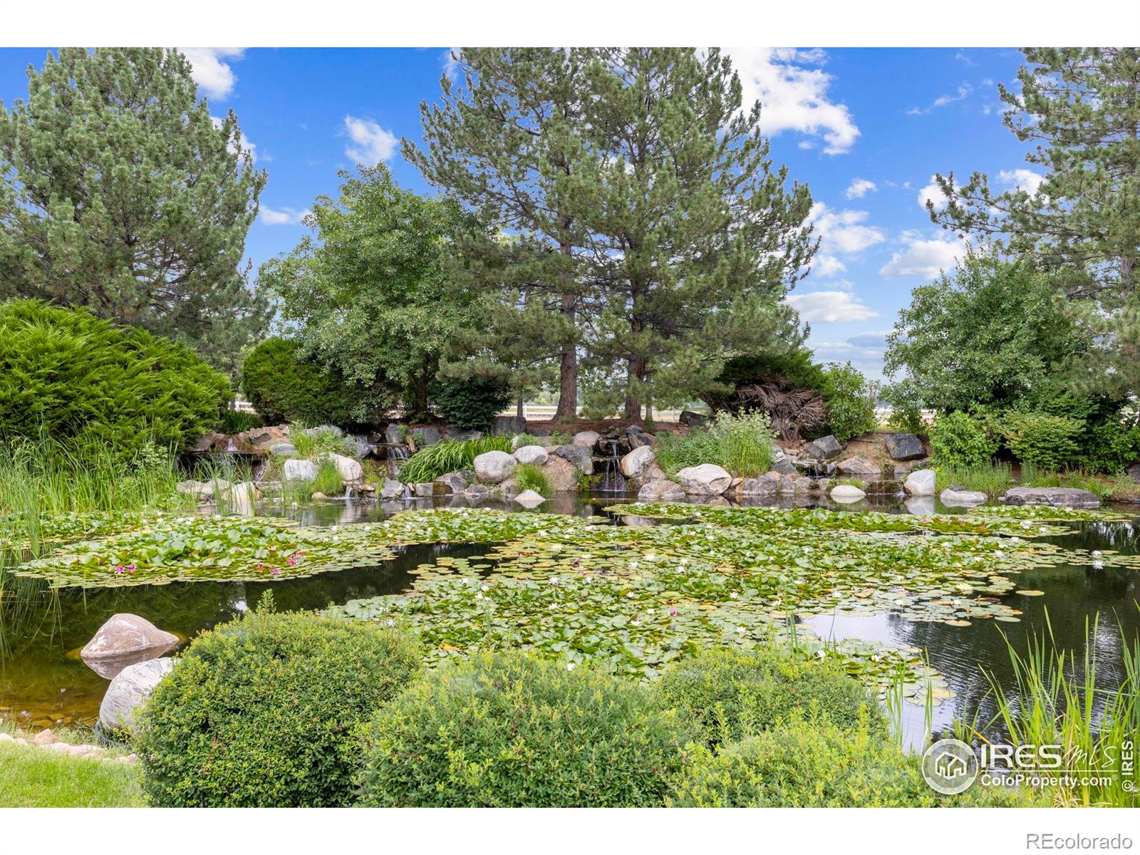 MLS Image #28 for 407  fairfield lane,louisville, Colorado