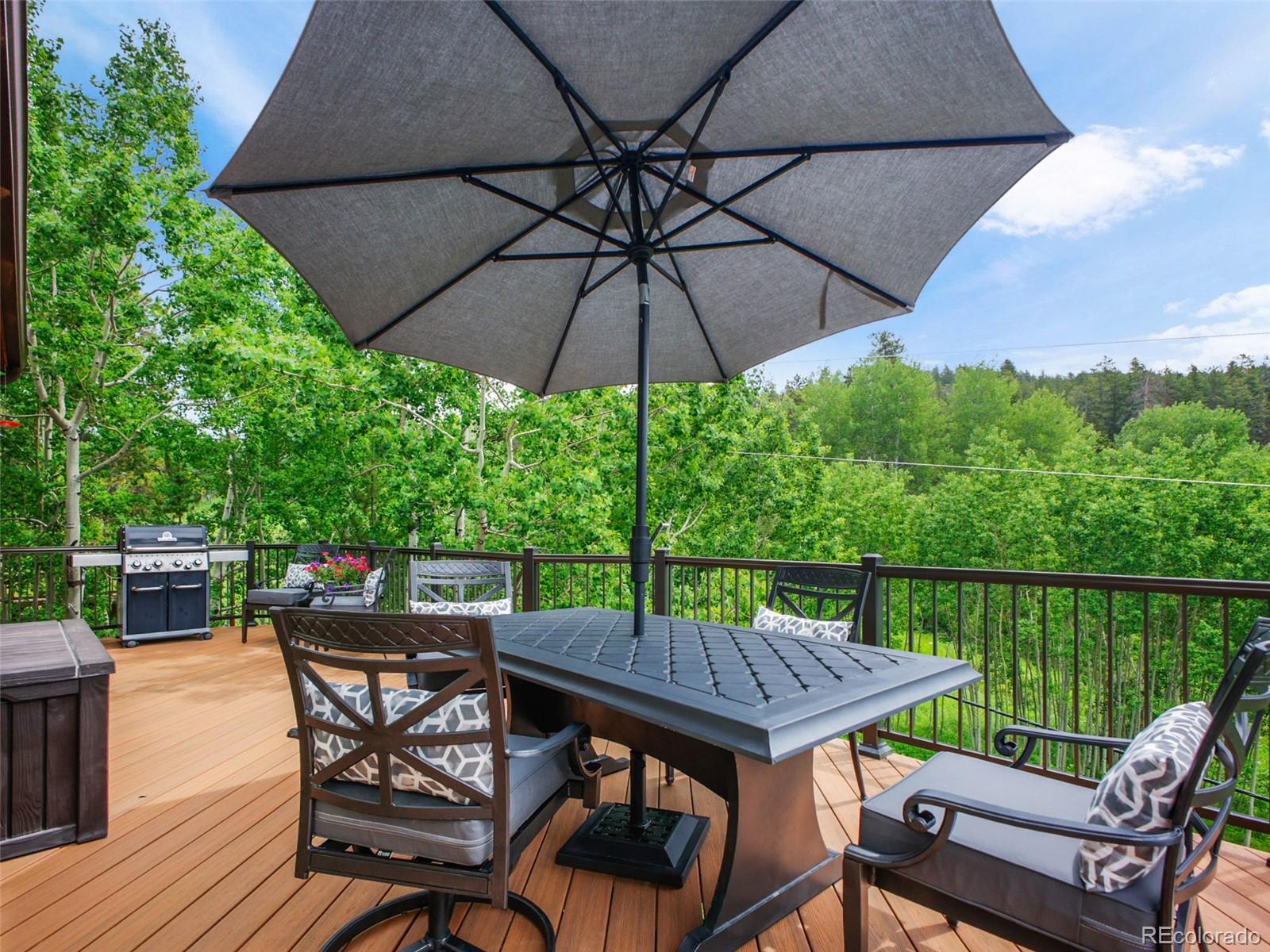 MLS Image #10 for 10797  snowy trail,conifer, Colorado