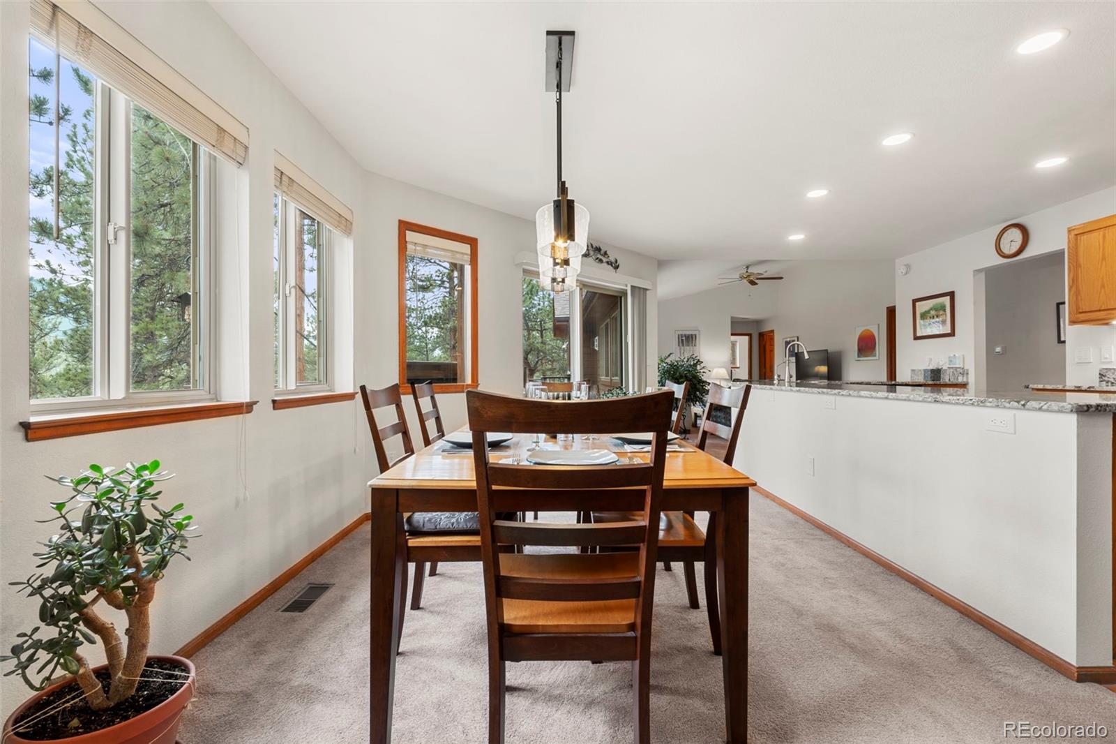 MLS Image #13 for 84  marys lane,bailey, Colorado