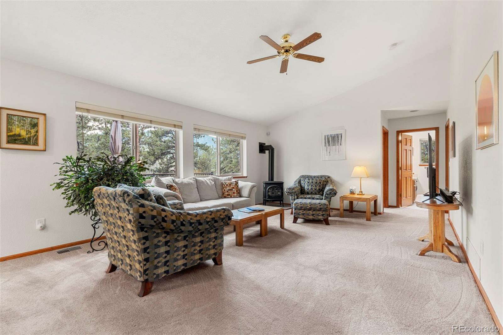 MLS Image #14 for 84  marys lane,bailey, Colorado