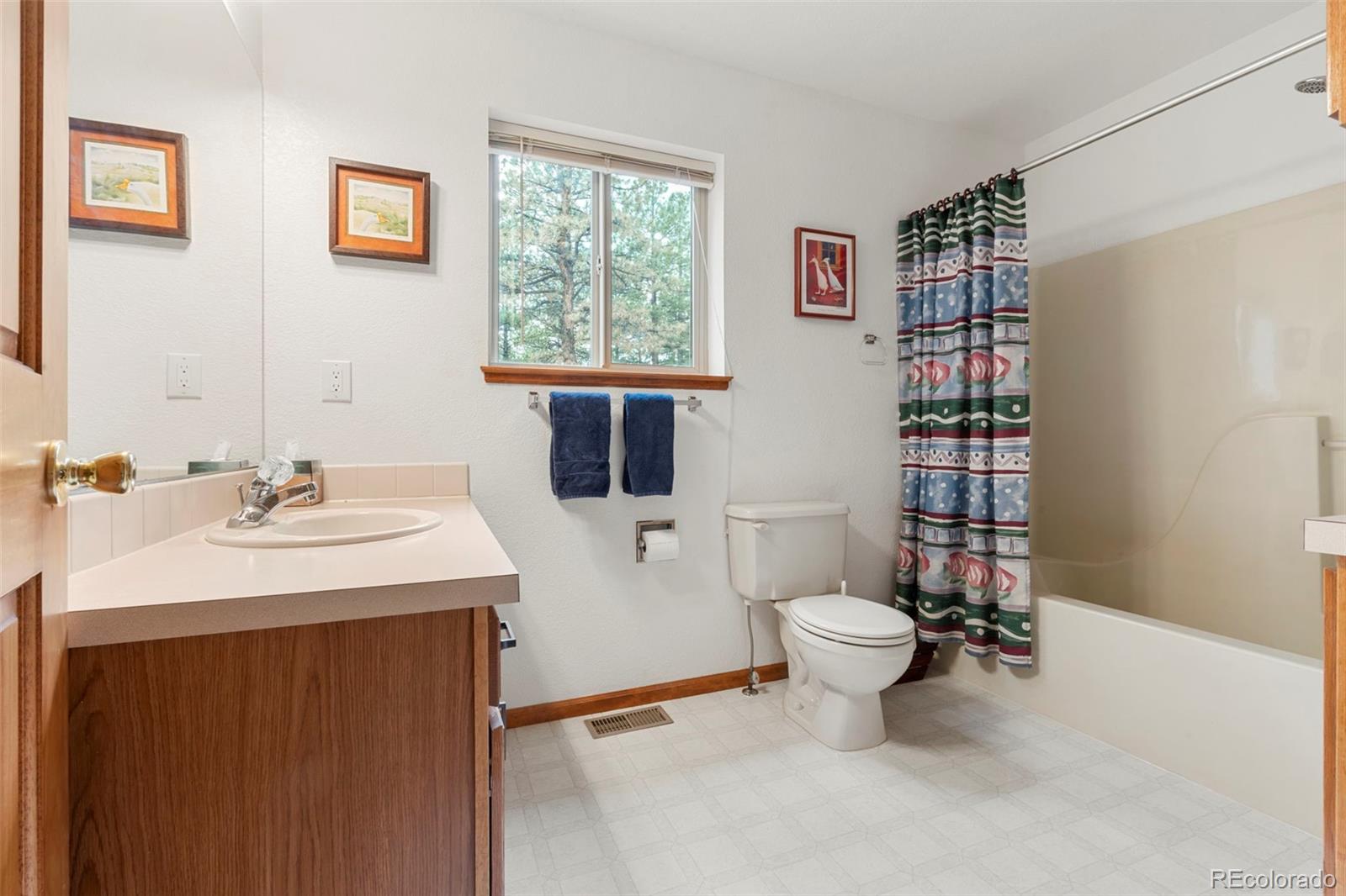 MLS Image #17 for 84  marys lane,bailey, Colorado