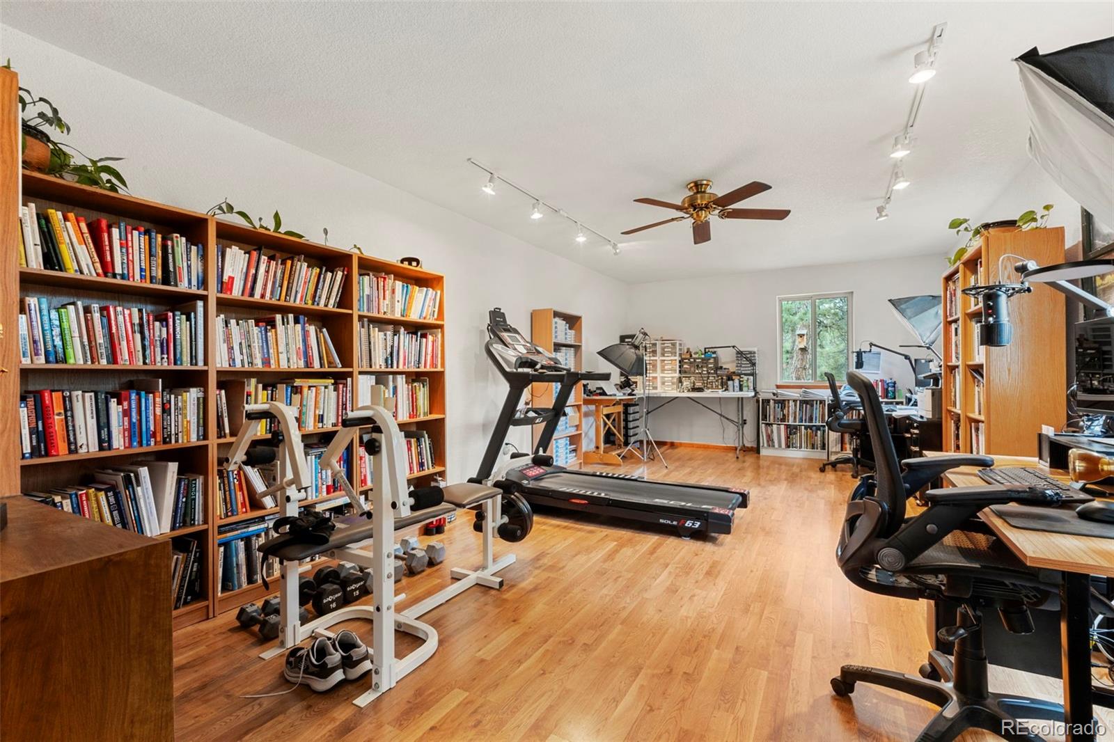 MLS Image #21 for 84  marys lane,bailey, Colorado