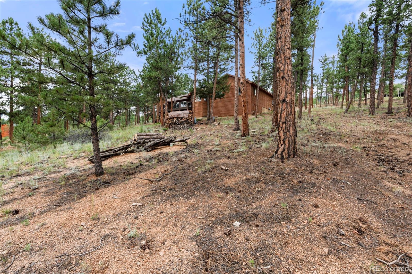 MLS Image #29 for 84  marys lane,bailey, Colorado