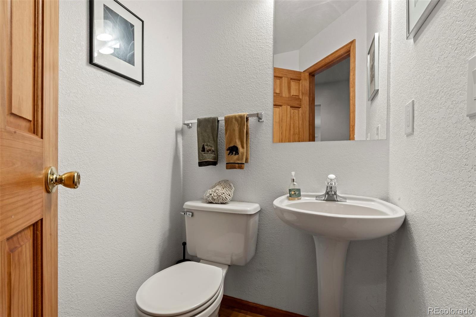 MLS Image #9 for 84  marys lane,bailey, Colorado