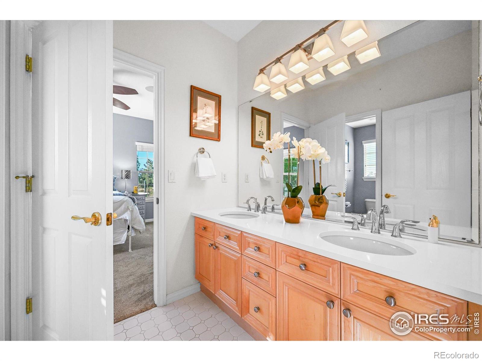 MLS Image #23 for 7120  forest ridge circle,castle pines, Colorado