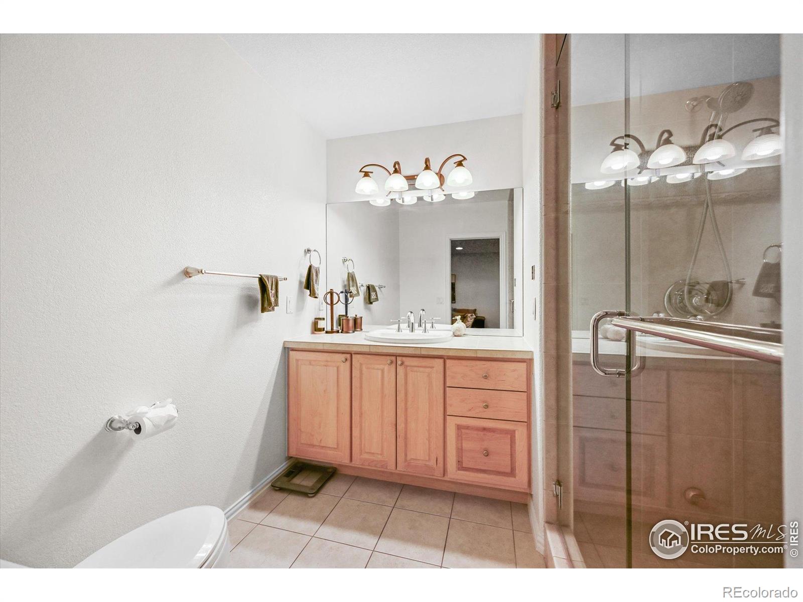 MLS Image #29 for 7120  forest ridge circle,castle pines, Colorado