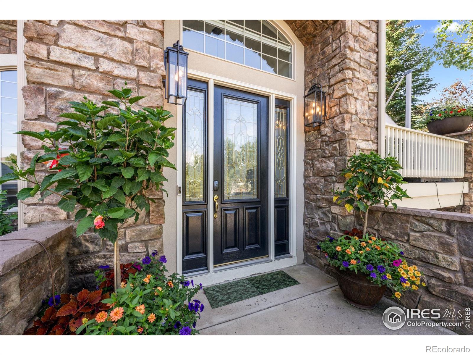 MLS Image #36 for 7120  forest ridge circle,castle pines, Colorado