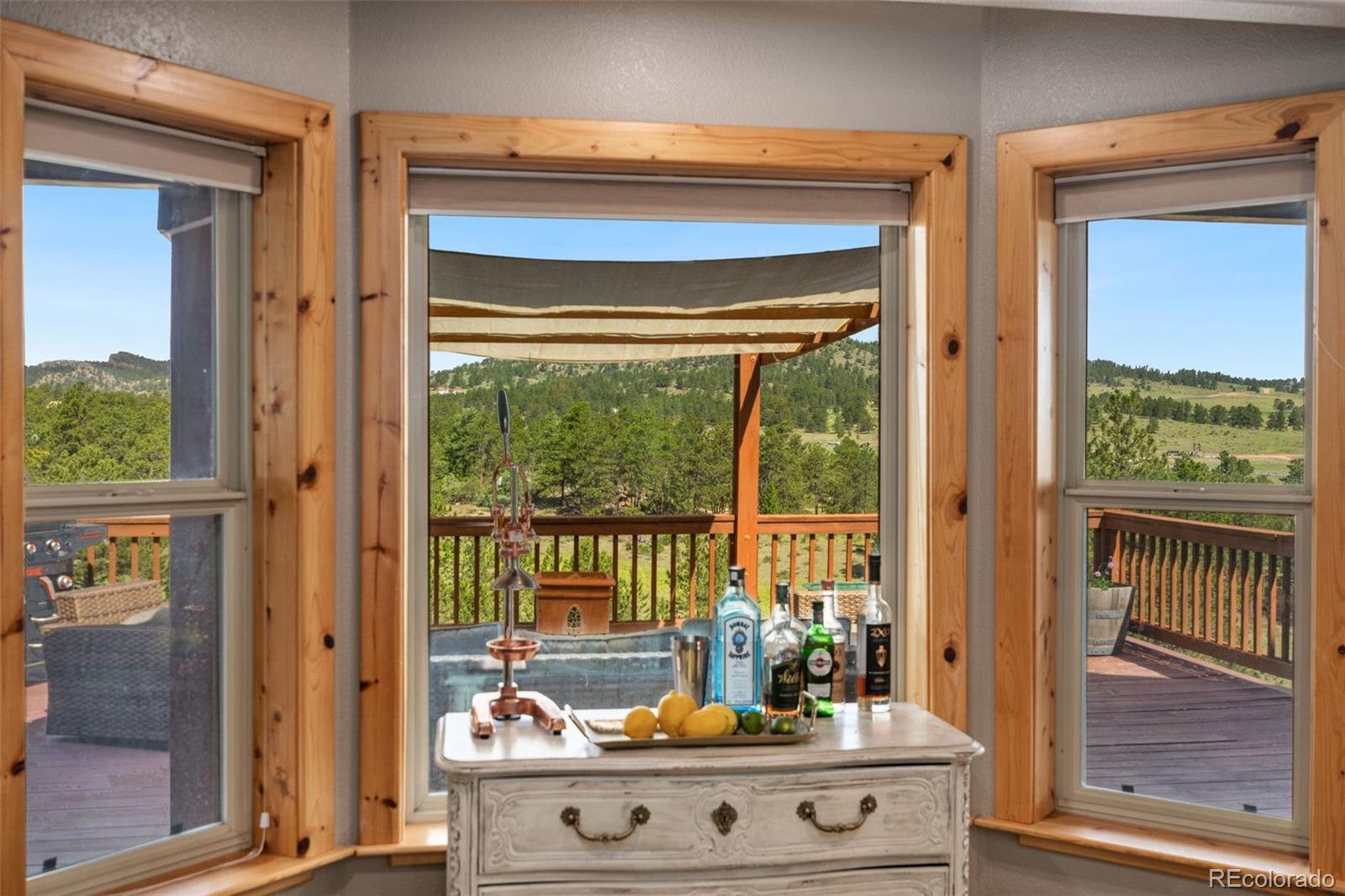 MLS Image #12 for 241  deadhorse mountain court,livermore, Colorado