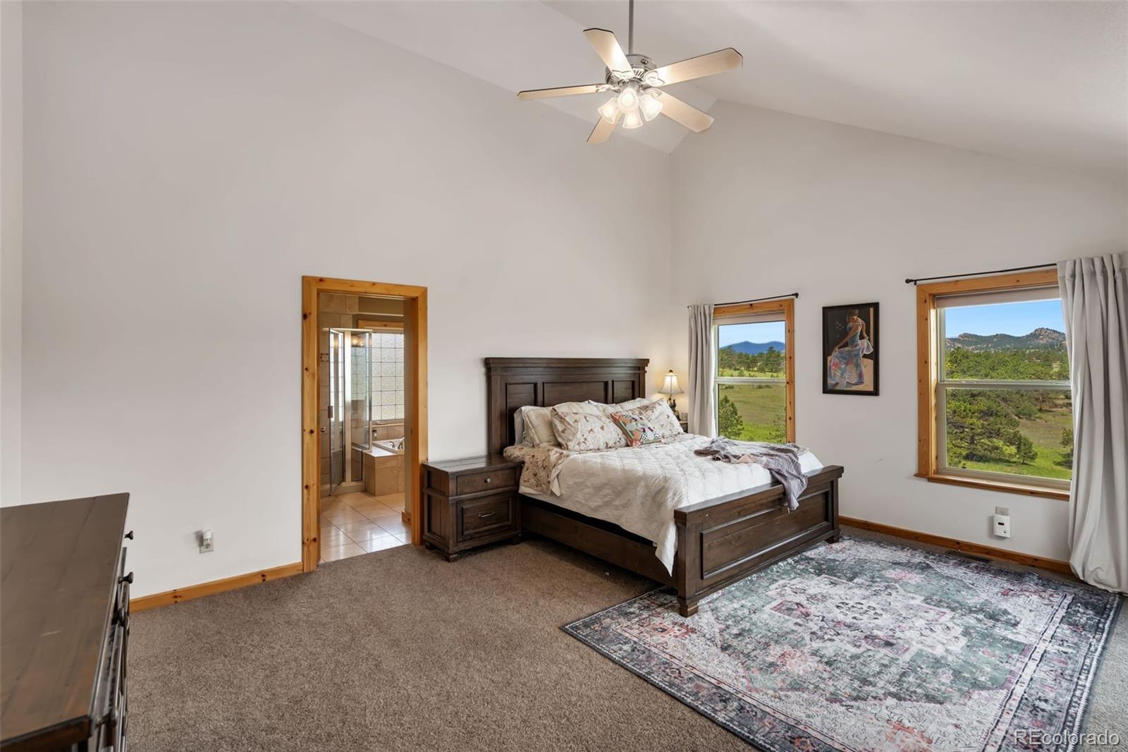 MLS Image #13 for 241  deadhorse mountain court,livermore, Colorado
