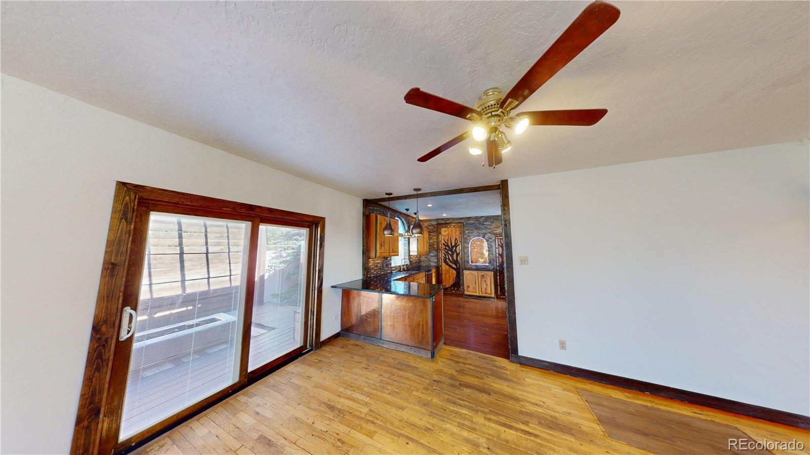 MLS Image #4 for 309  main street,romeo, Colorado