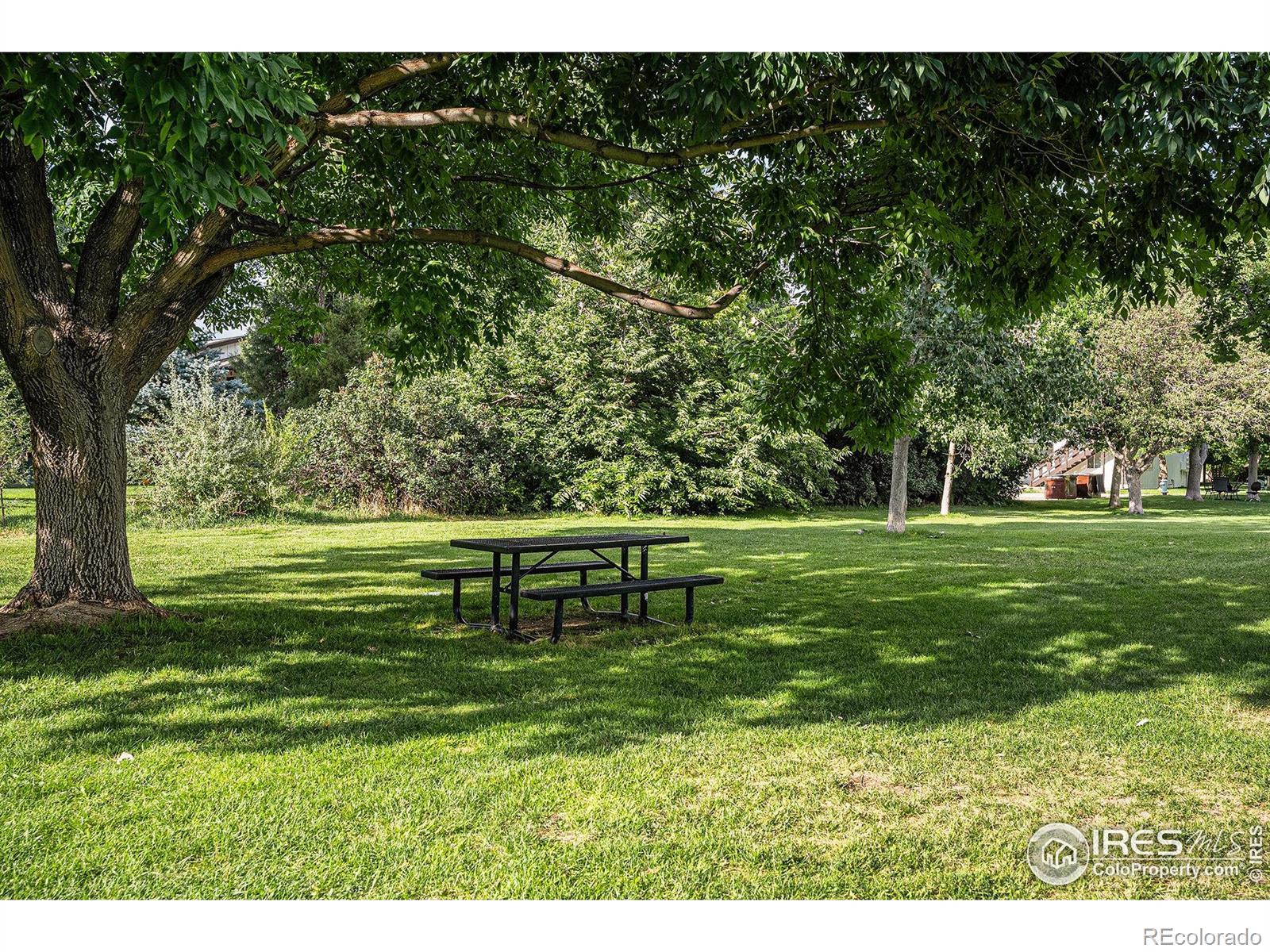 MLS Image #14 for 3150  iris avenue,boulder, Colorado