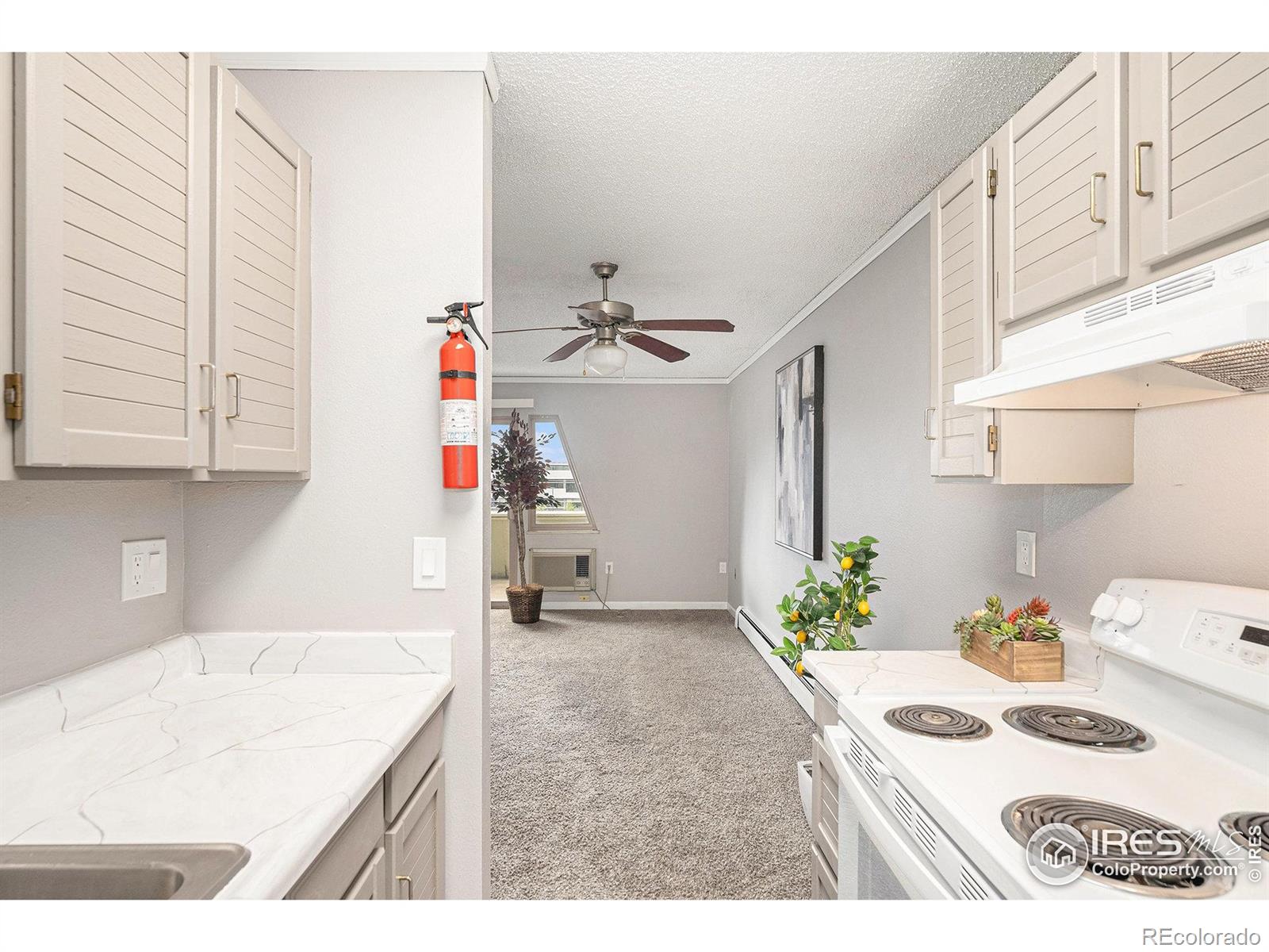 MLS Image #4 for 3150  iris avenue,boulder, Colorado