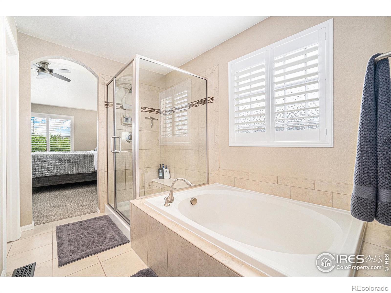 MLS Image #15 for 5622  foxfire street,timnath, Colorado