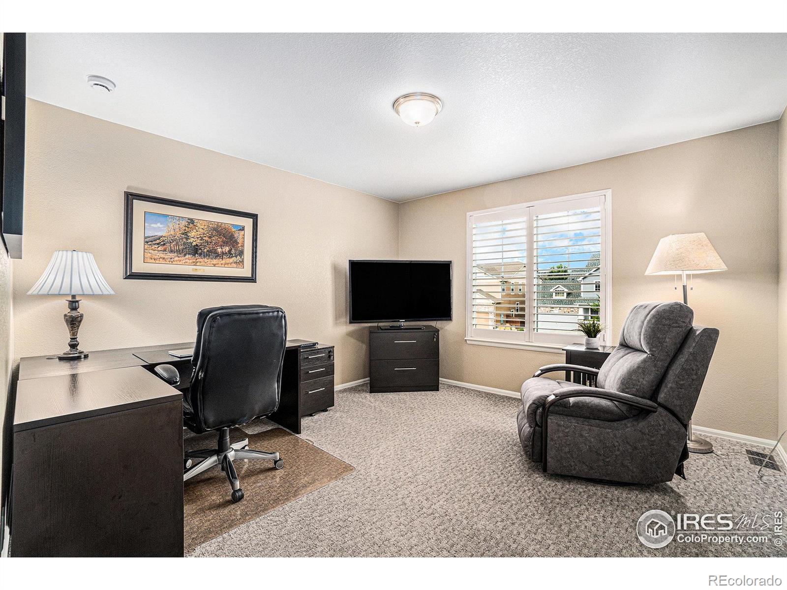 MLS Image #18 for 5622  foxfire street,timnath, Colorado