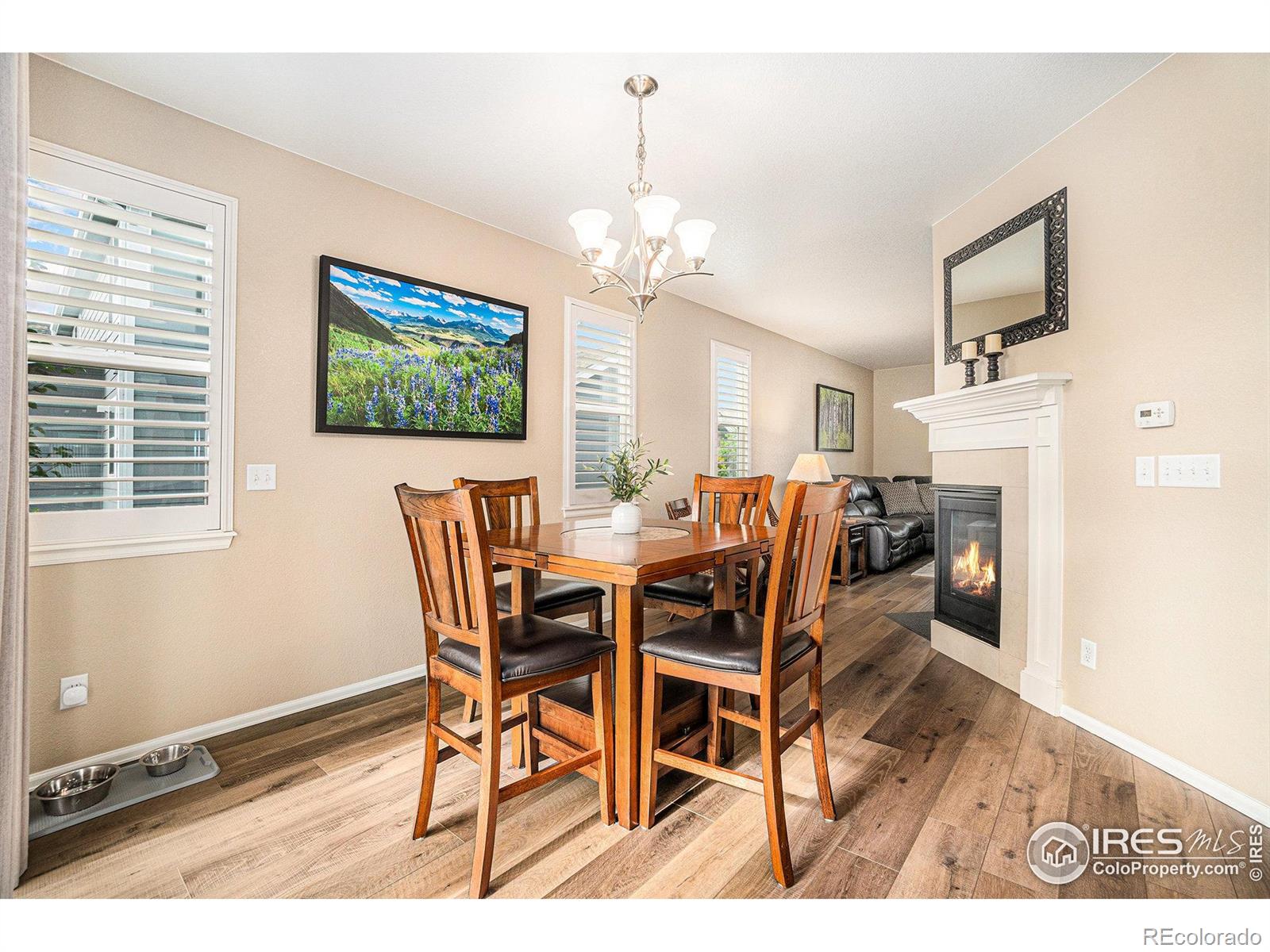 MLS Image #5 for 5622  foxfire street,timnath, Colorado