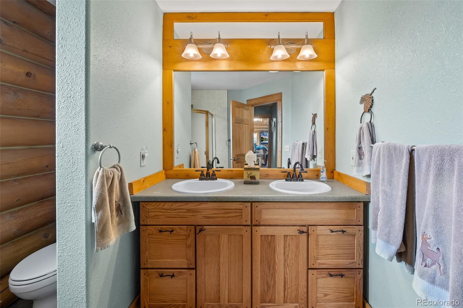 MLS Image #14 for 486 & 432  turk pony way,jefferson, Colorado