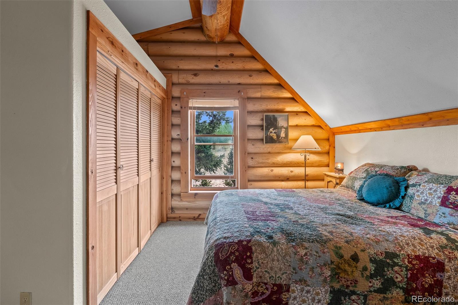 MLS Image #20 for 486 & 432  turk pony way,jefferson, Colorado