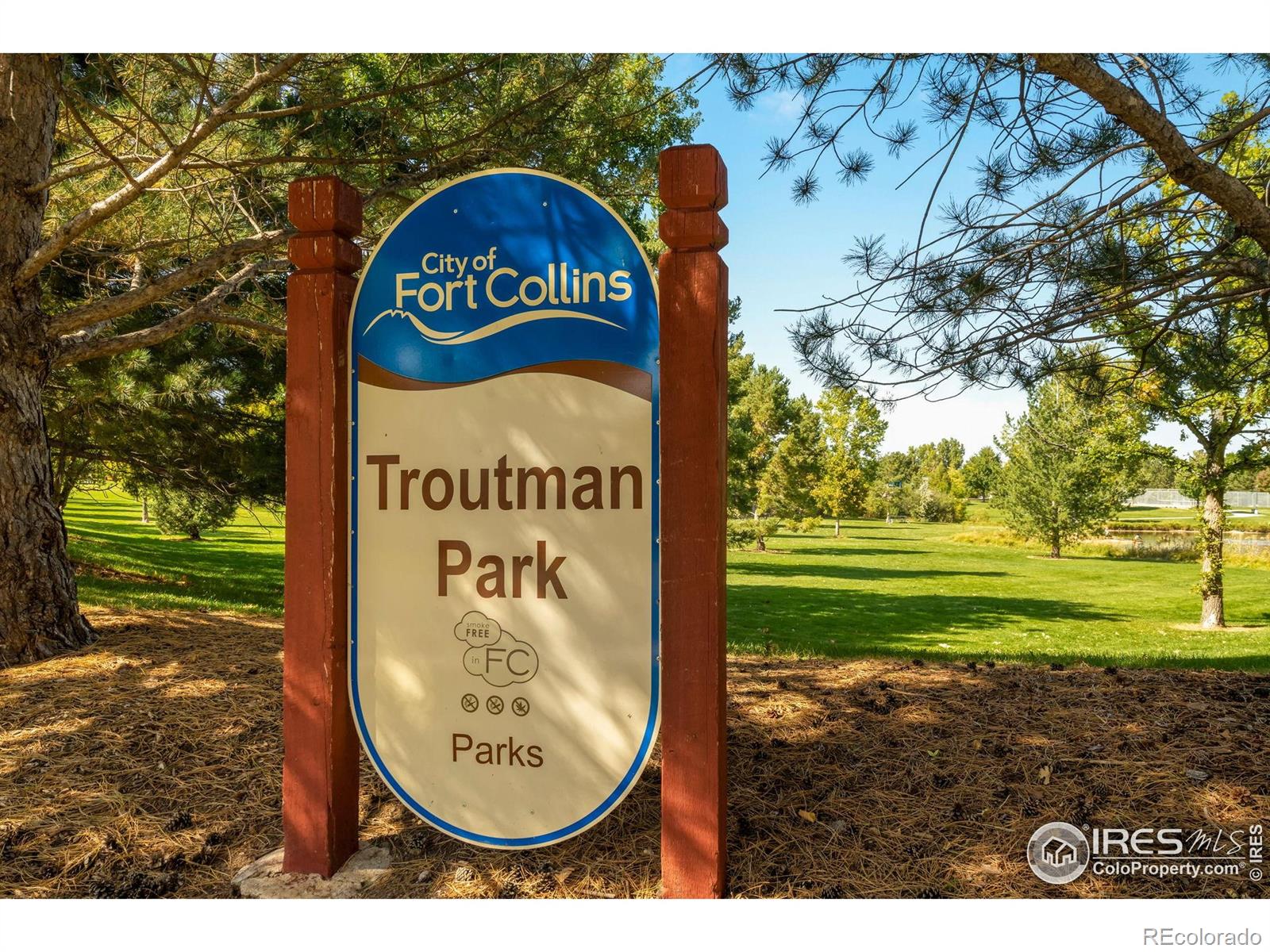 MLS Image #24 for 701  blue mountain drive,fort collins, Colorado