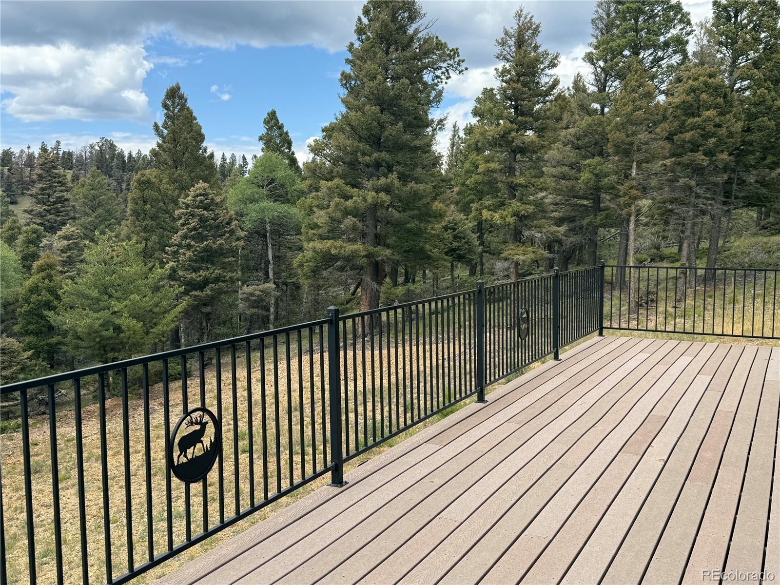 MLS Image #10 for 217  greaves lane,fort garland, Colorado