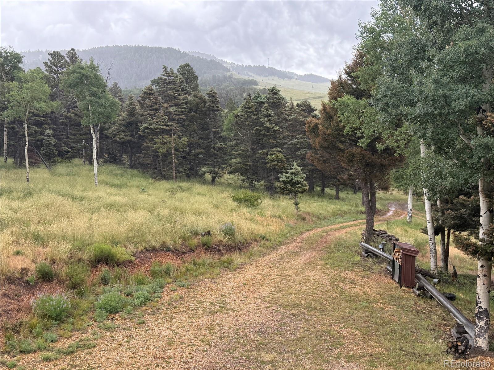 MLS Image #45 for 217  greaves lane,fort garland, Colorado