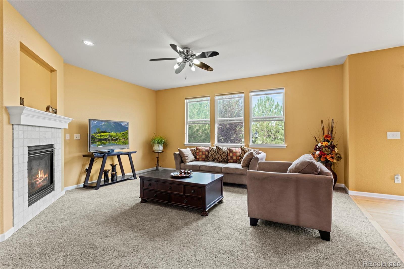 MLS Image #12 for 12218  rockdale street,parker, Colorado