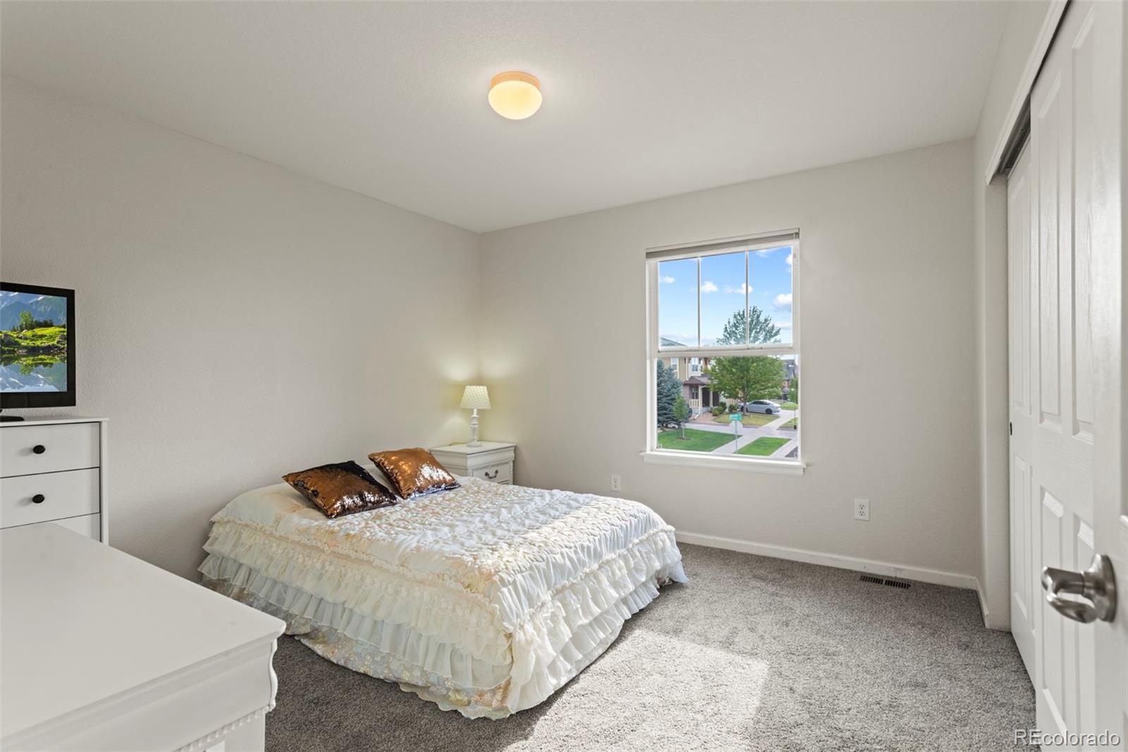 MLS Image #19 for 12218  rockdale street,parker, Colorado