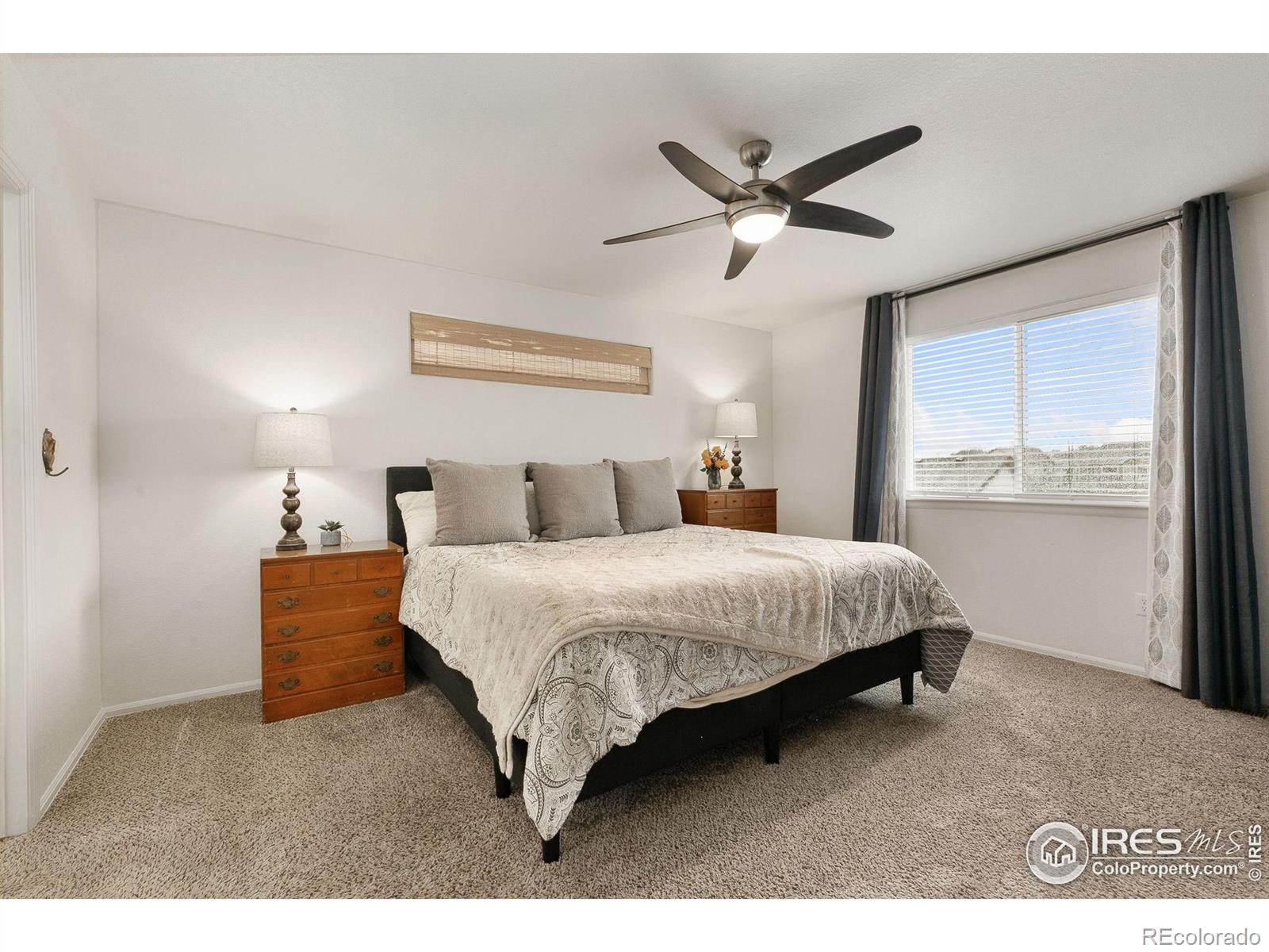MLS Image #12 for 725  mt evans avenue,severance, Colorado