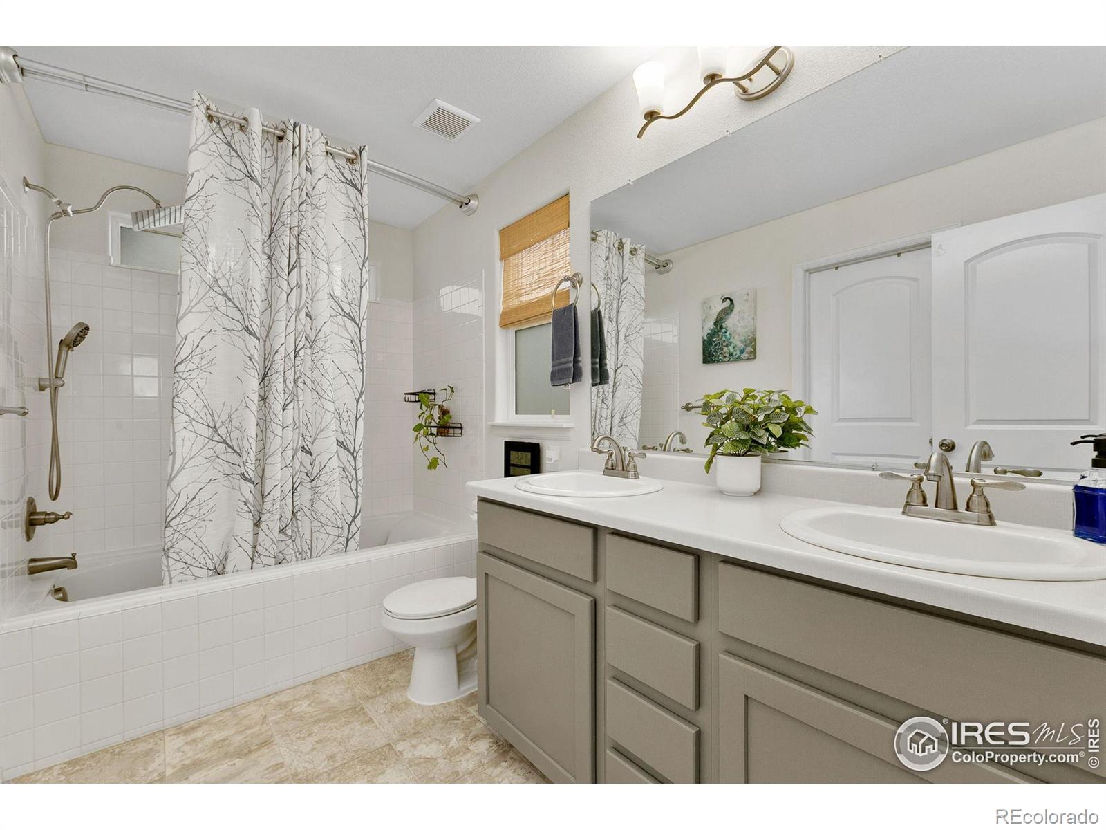 MLS Image #14 for 725  mt evans avenue,severance, Colorado